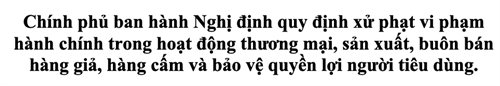 Chính phủ ban hành Nghị định quy định xử phạt vi phạm hành chính trong hoạt động thương mại, sản xuất, buôn bán hàng giả, hàng cấm và bảo vệ quyền lợi người tiêu dùng.